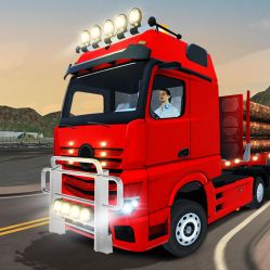 CITY TRUCK DRIVER Image